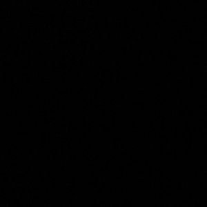 Meet your Posher, Brody